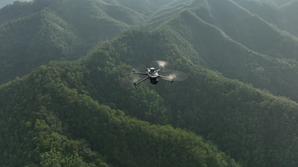 Aerial view of production forest