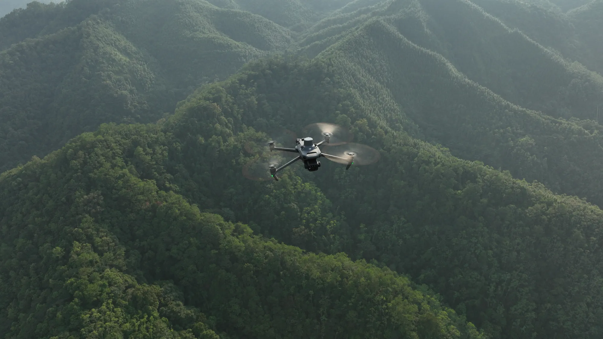 Aerial view of production forest