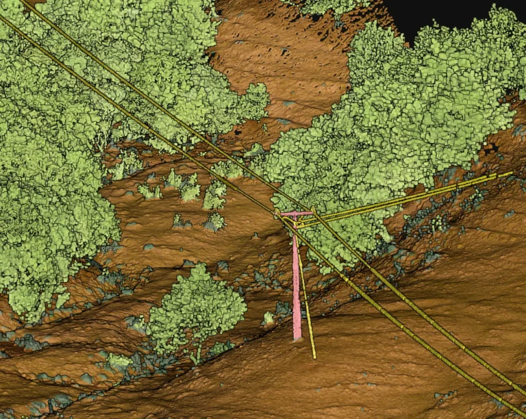 Classified LiDAR Point Clouds: example drone data output