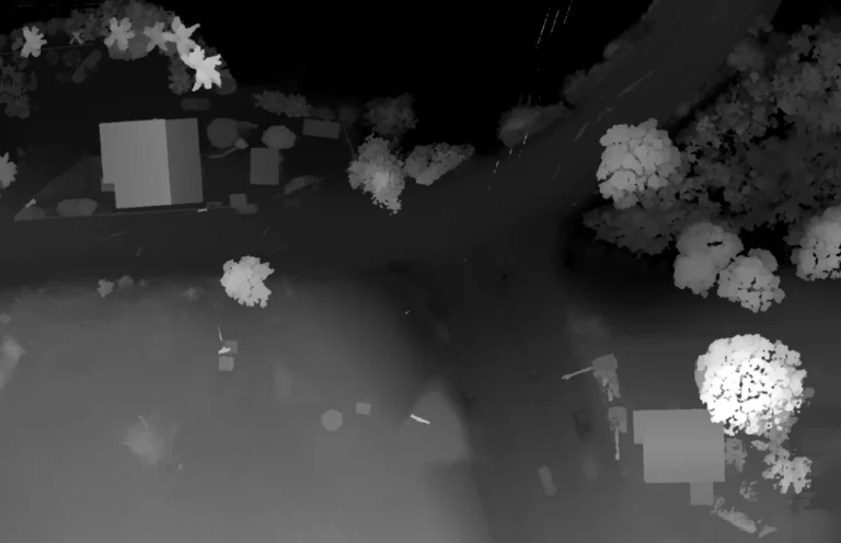 Digital Surface Models: example drone data output