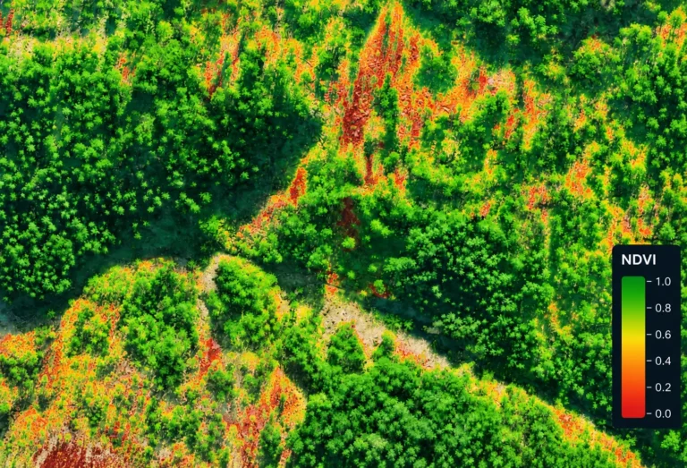NDVI  NDRE Vegetation Indices: example drone data output