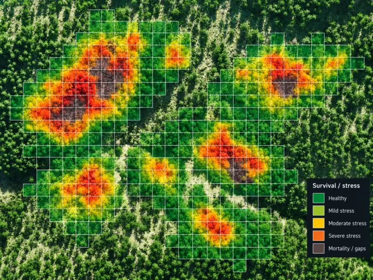 Survival & Stress Maps: example drone data output
