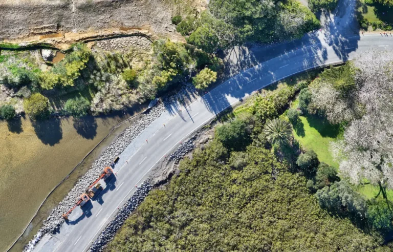 Orthomosaics: example drone data output