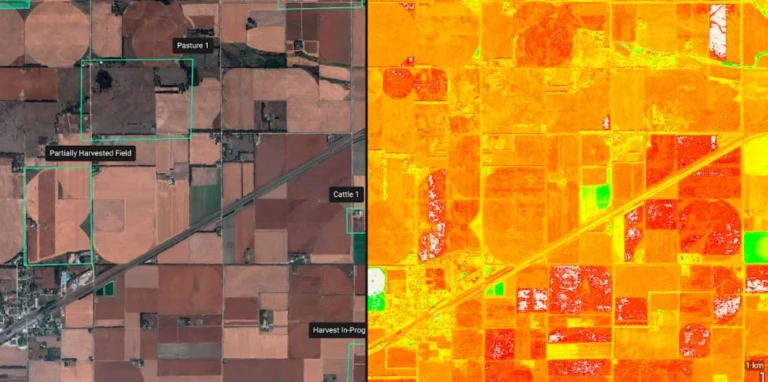 Multispectral & vegetation indices: example drone data output