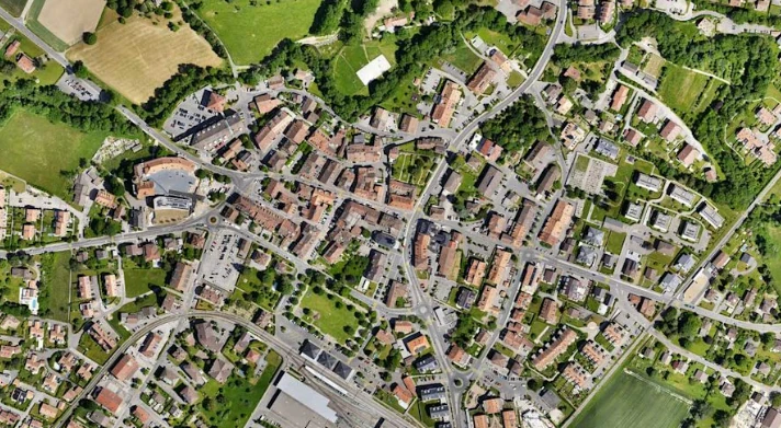 Orthomosaic: example drone data output